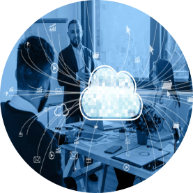 Professional Guidance and Assistance